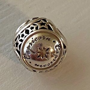 Pandora Charm